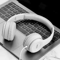 Headphone Stereo Hoco W21 Graceful Charm 3.5mm with Microphone Grey