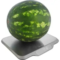 Kitchen Scale 30kg Stainless Steel Sencor SKS 7300 Silver