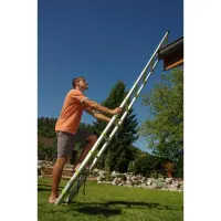 Telescopic Ladder Fieldmann FZZ 4005 3.8m