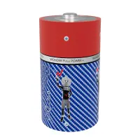 Battery Alkaline Wonder Full Power D-LR20 1.5V Pcs. 5