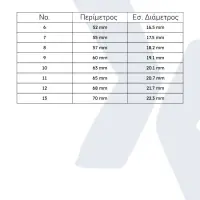 Smart Ring Maxcom mRing MR100 No.11 (Inside DIameter 20.7mm) IP68 with Heart Rate and Sleep Monitoring Silver