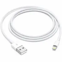 Data Cable Apple USB-A to Lightning 2.0 45W MUQW3ZM/A 1m White